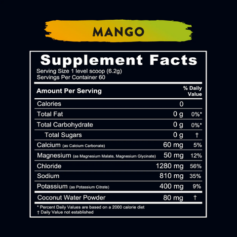 RE-LYTE ELECTROLYTE MIX- MANGO- 60 SERVE