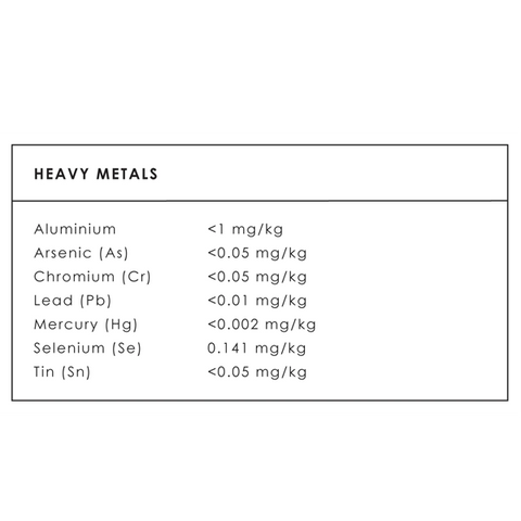 Bone Broth Protein Powder - CHOCOLATE SACHET