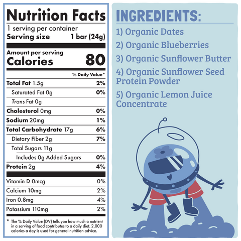 Skout Organic Blueberry Blast Kids Snack Bar | Nut-Free- 6 bars