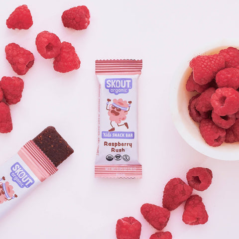 Skout Organic Raspberry Rush Kids Snack Bar | Nut-Free- 6 bars
