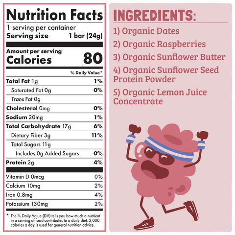 Skout Organic Raspberry Rush Kids Snack Bar | Nut-Free- 6 bars