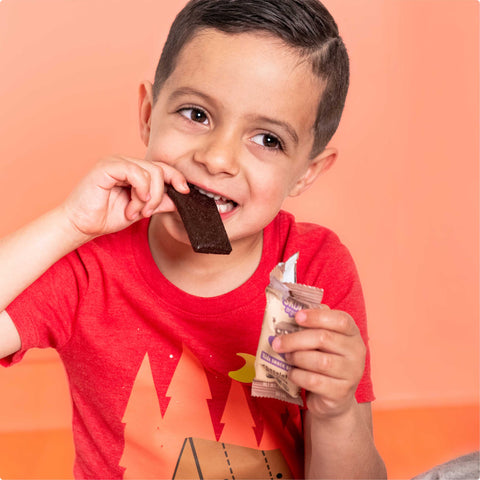 Skout Organic Chocolate Brownie Kids Snack Bar | Plant-Based- 6 bars