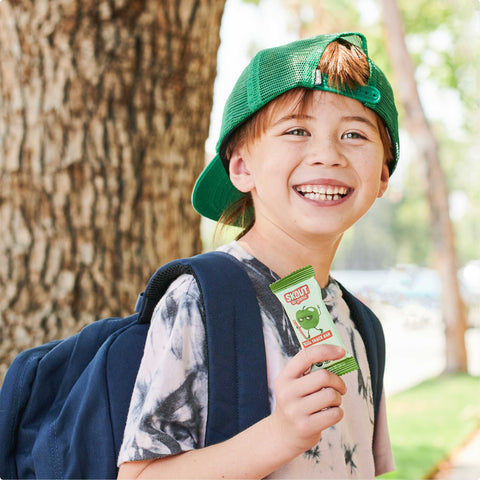 Skout Organic Apple Pie Kids Snack Bar | Nut-Free- 6 bars