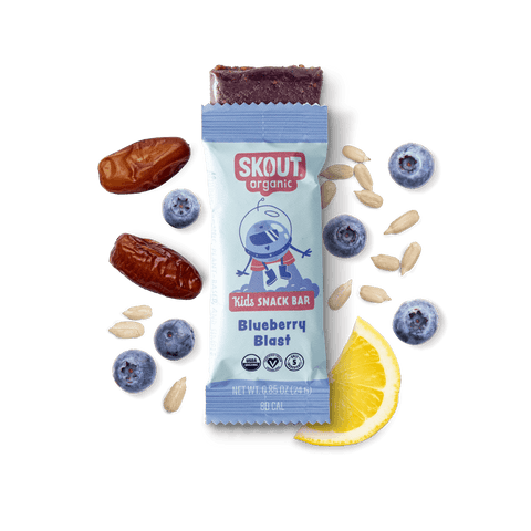 Skout Organic Blueberry Blast Kids Snack Bar | Nut-Free- 6 bars
