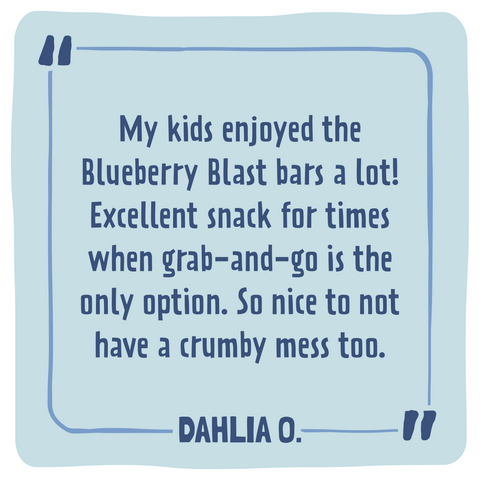 Skout Organic Blueberry Blast Kids Snack Bar | Nut-Free- 6 bars