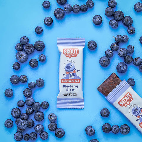 Skout Organic Blueberry Blast Kids Snack Bar | Nut-Free- 6 bars