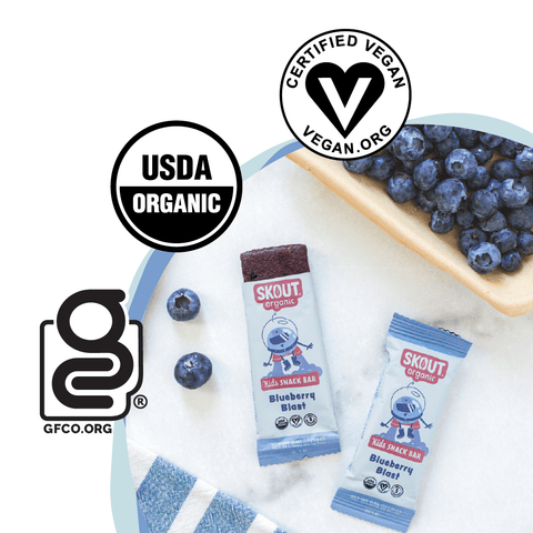 Skout Organic Blueberry Blast Kids Snack Bar | Nut-Free- 6 bars