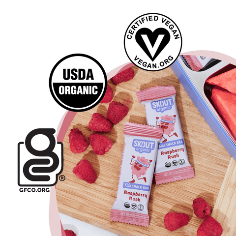 Skout Organic Raspberry Rush Kids Snack Bar | Nut-Free- 6 bars