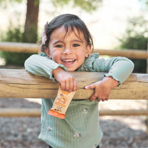 Skout Organic French Toast Kids Snack Bar | Plant-Based- 6 bars