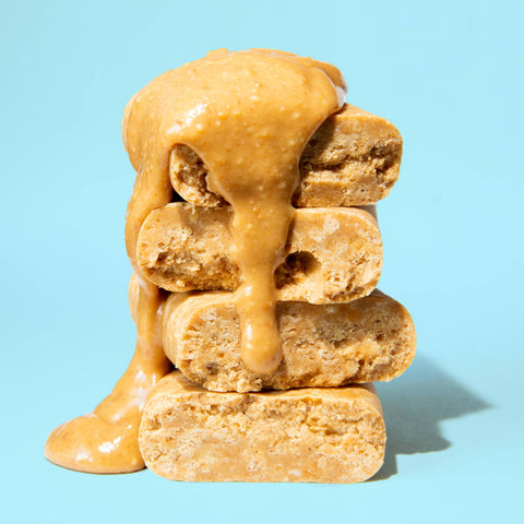 PEANUT BUTTER CHOCOLATE CHIP Superfood Nut Butter Bar